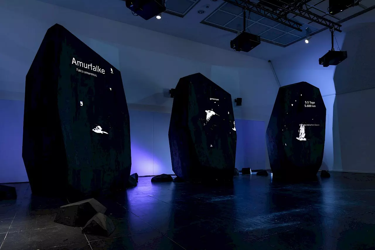 The image shows three massive black structures in a dark exhibition space. Projections are displayed on their surfaces, including white silhouettes of birds and text. The left object reads “Amurfalke – Falco amurensis,” while the right one displays “5.5 Tage, 5,600 km.” The installation is illuminated with blue-violet light, and several projectors hang from the ceiling. Smaller black shapes resembling stones are scattered around the objects.