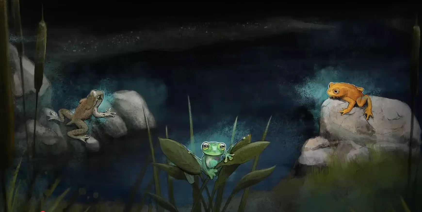 Illustration of three frogs at a nighttime pond, a brown one on a rock to the left, a green one among reed leaves in the center, and an orange one on a boulder to the right.