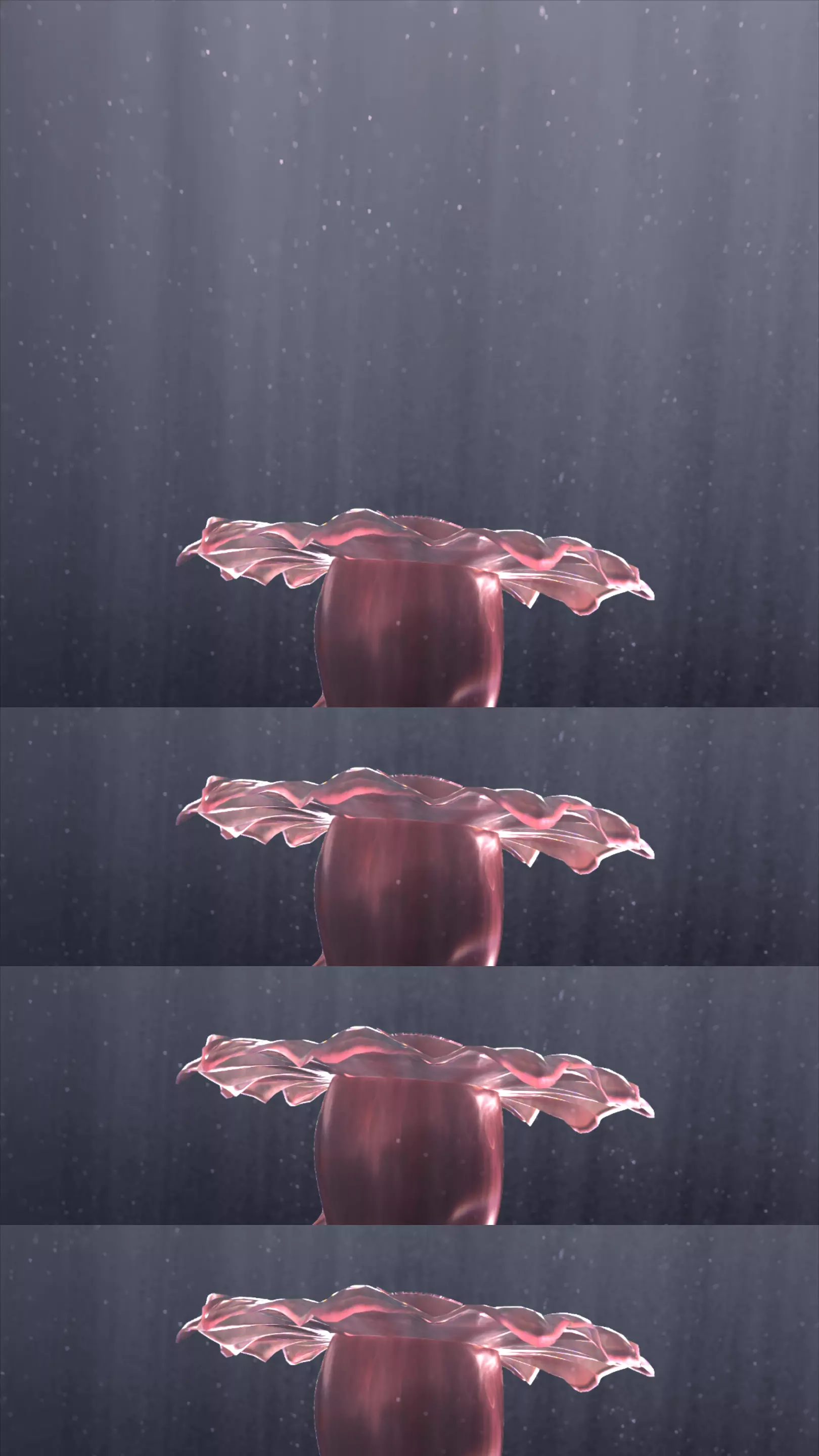 Deeply Connected Rendering 2