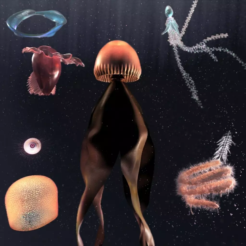 Deeply Connected Renderings
